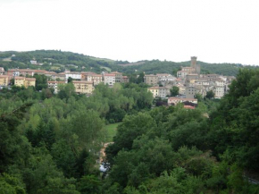 Il Pino Amiata